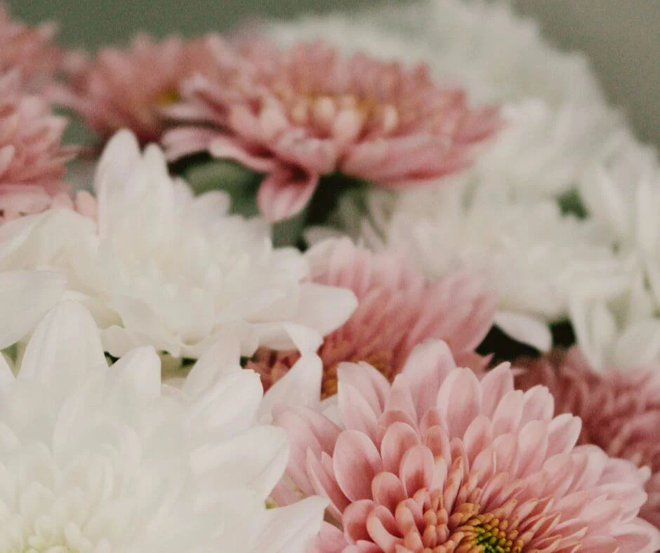 Collect funeral donations Collect funeral donations