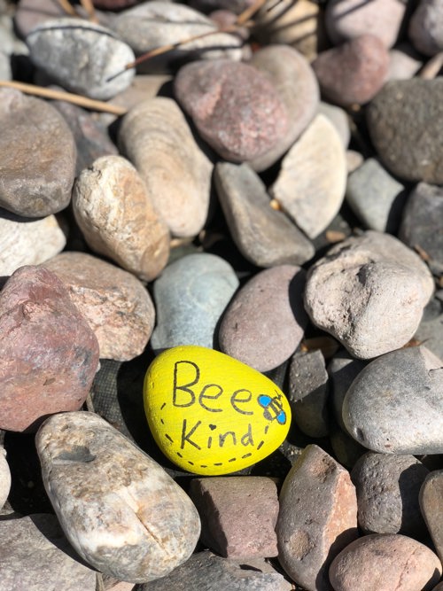 Painted pebble saying bee kind