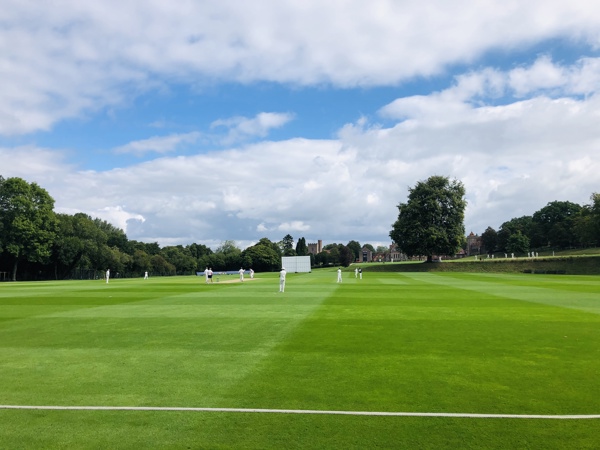 Cricket match on a sunny day