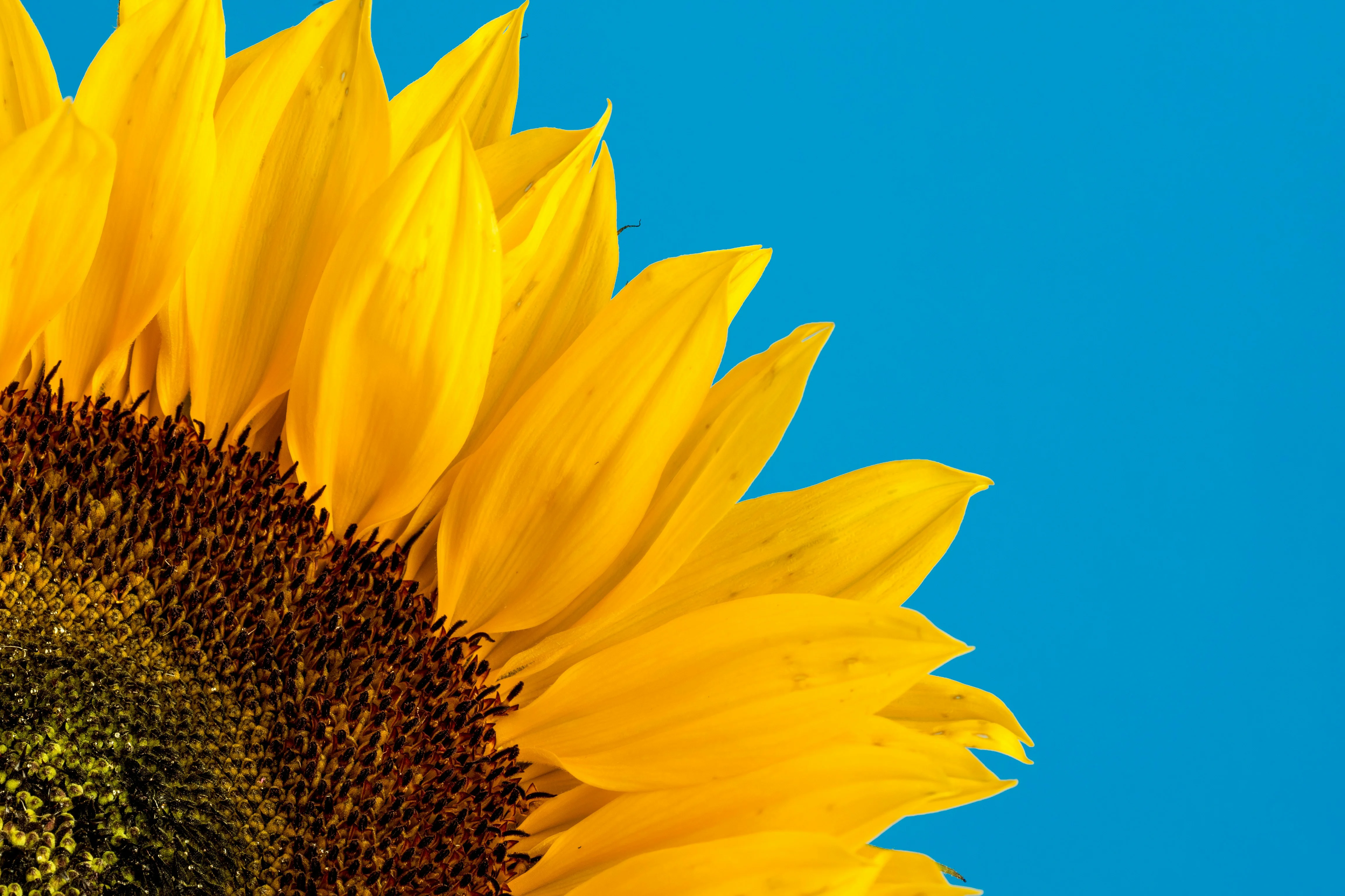 David Travis Zyt6u51a0bu Unsplash