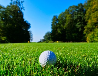 Golf ball in grass