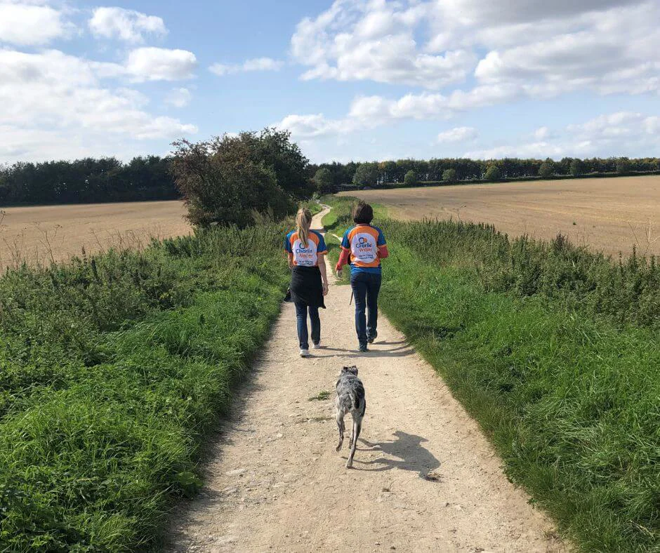 Two women walking in CWT tshirts with two dogs Two women walking in CWT tshirts with two dogs