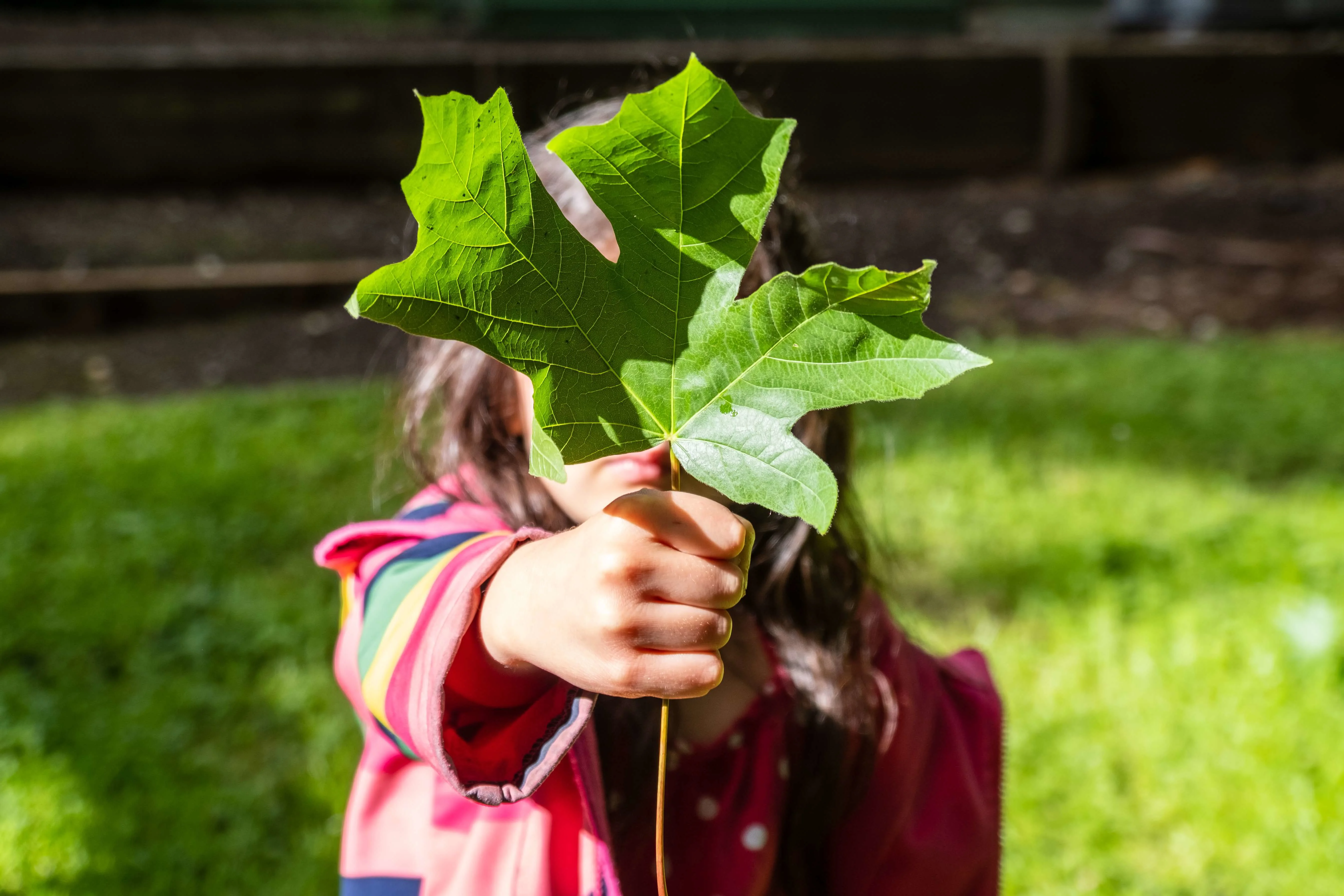 Child holding a leaf in front of their face